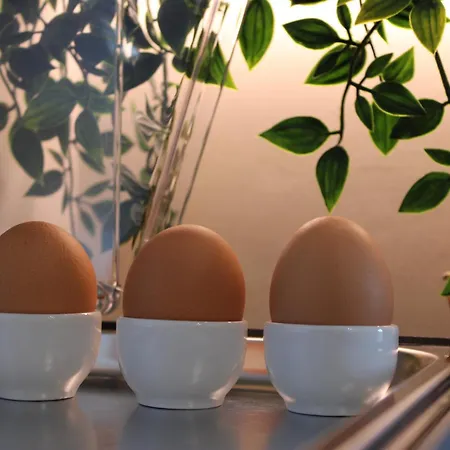 Ξενοδοχείο Victoria 3*